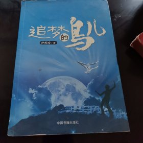 追梦的鸟儿