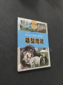 藏獒渡魂