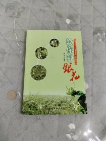 教你种银花