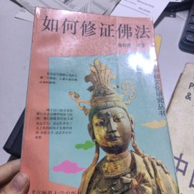 中国神秘文化研究丛书・如何修正佛法