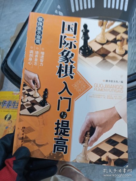 棋牌娱乐指南：国际象棋入门与提高