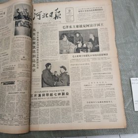 河北日报1964年11月合订本（1-30号全）