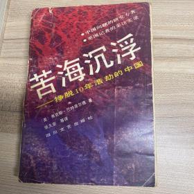 苦海沉浮：挣脱10年浩劫的中国