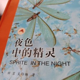 夜色中的精灵