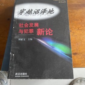 穿越沼泽地:“社会发展与犯罪”新论