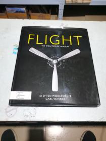 Flight: The Evolution of Aviation 飞行：航空的发展