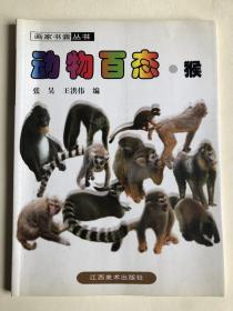 动物摄影图片资料书籍 猴篇 画家美术创作资料用书