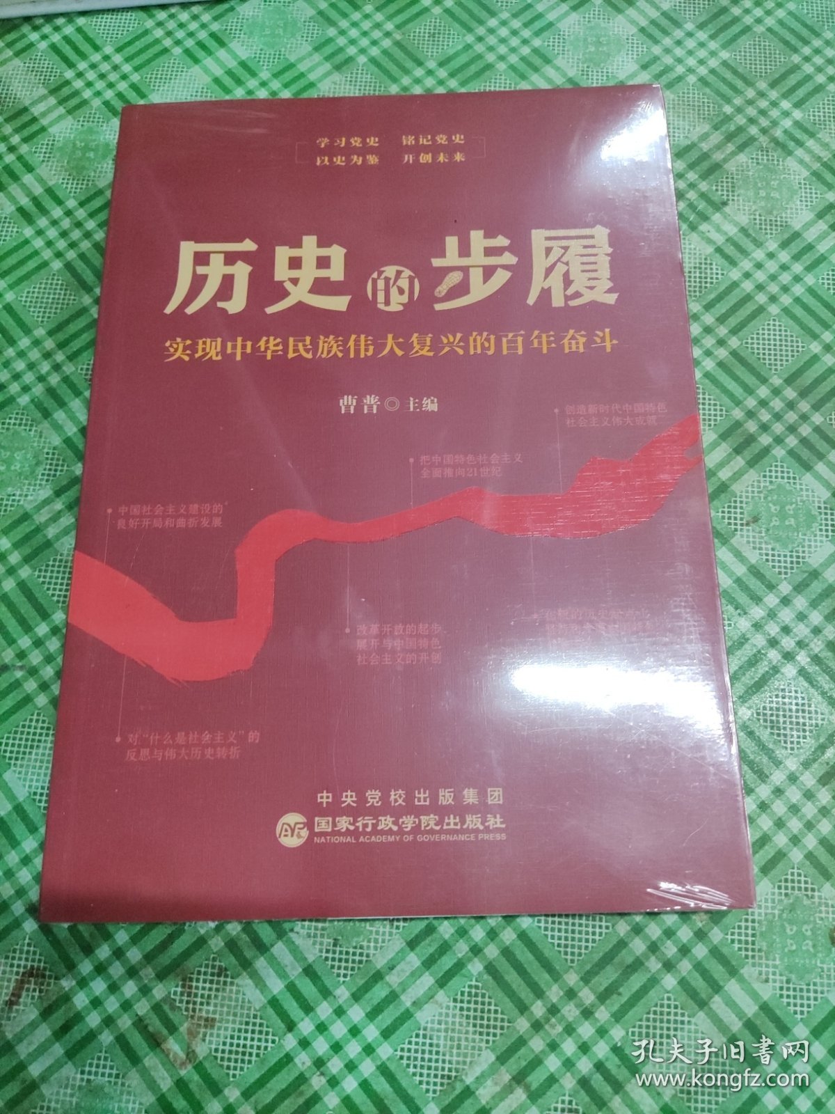 历史的步履——实现中华民族伟大复兴的百年奋斗