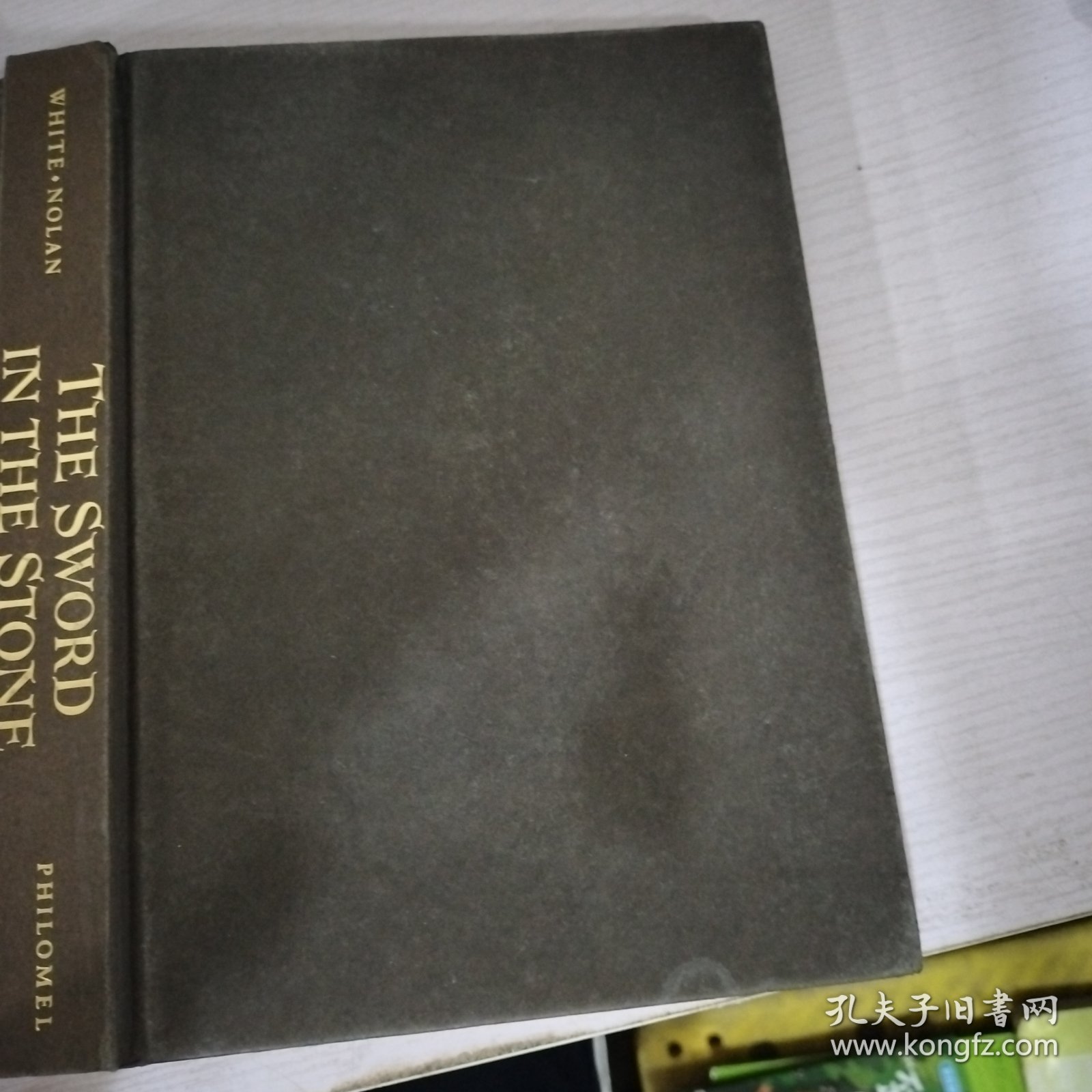 The Sword in the Stone