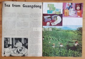 2版！出口英文版广东茶叶广告；上海袋泡茶广告！单页双面广告画.宣传画.广告页.广告纸！