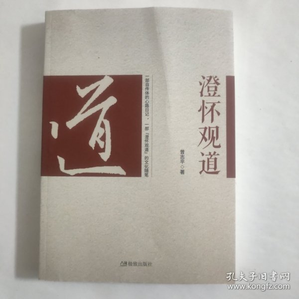 澄怀观道 : 中国油画院课题组画家作品集. 姚永