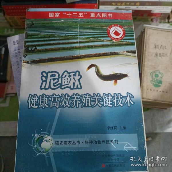 泥鳅健康高效养殖关键技术