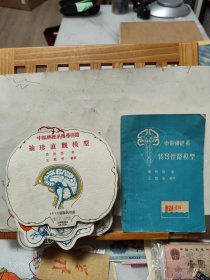 中枢神经系传导径路模型【附中枢神经系传导径路袖珍直观模型 10片全】