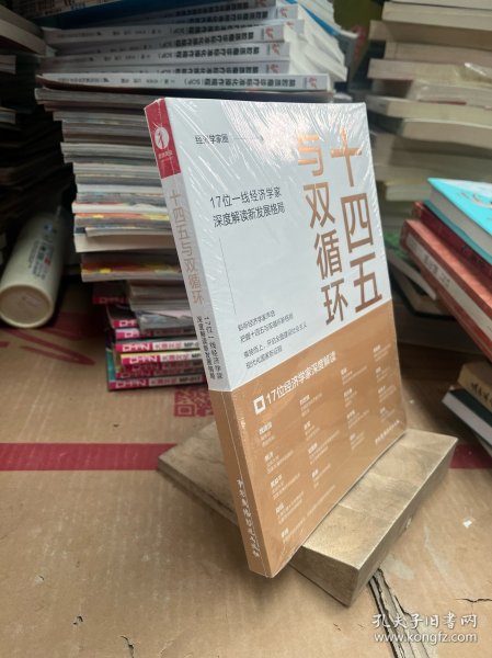 十四五与双循环:17位一线经济学家深度解读新发展格局（国内大循环国内国际双循环）