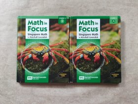 Math in Focus singapore math by marshall cavendish teacher's edition course 2A +2B(2本合售如图）