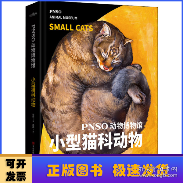 PNSO动物博物馆：小型猫科动物（把博物馆带回家，纸上iMax体验）