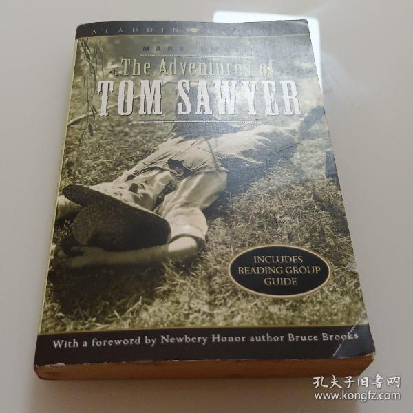 The Adventures of Tom Sawyer (Aladdin Classics) 英文原版《汤姆索亚历险记》（阿拉丁经典）