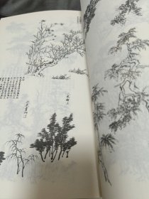 中国书画大系：芥子园画谱