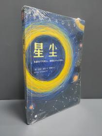 星尘（一部风靡全球的奇幻小说！）