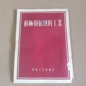 积极发展燃料工业