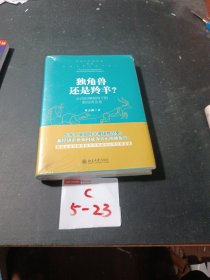 独角兽还是羚羊？公司治理视角下的新经济企业