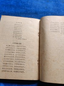 少林武术 连手短打 达磨杖