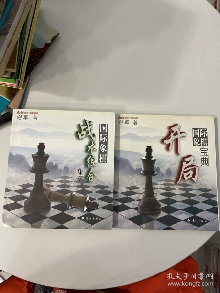 谢军教你下国际象棋系列：国际象棋战术组合集萃