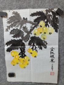 手绘花鸟画