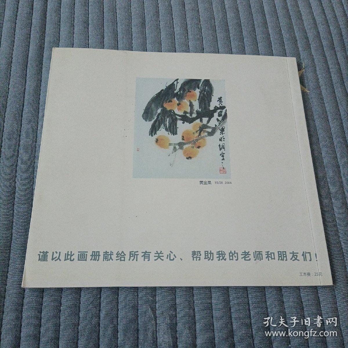 陈明纲中国画集