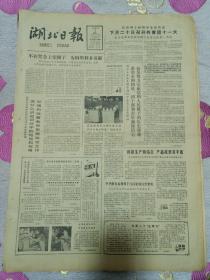 湖北日报1982年11月9日(4开四版)不在奖金上兜圈子为国争力多贡献;科研生成两结合产品成果双丰收;中华鲟在葛洲坝下江段能够自然繁殖;攀钢成立专业公司统管行政事务。