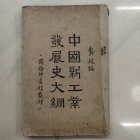 中国新工业发展史大纲 （民国版）