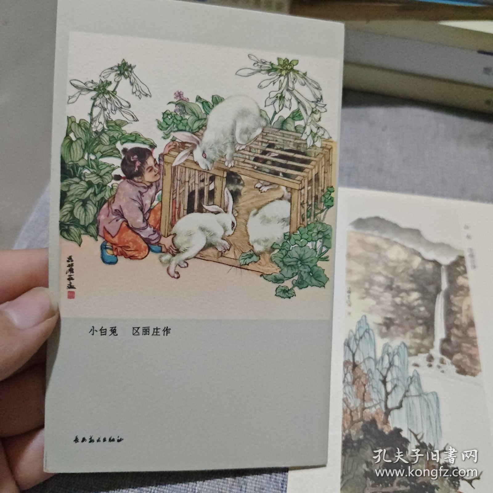 彩色小画片 国画（春天的早晨 小白兔 玉兰鹦鹉 牡丹 春又归来 山茶 山水）7张合售