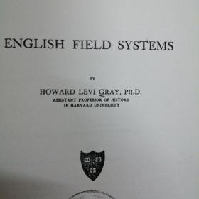 English field system