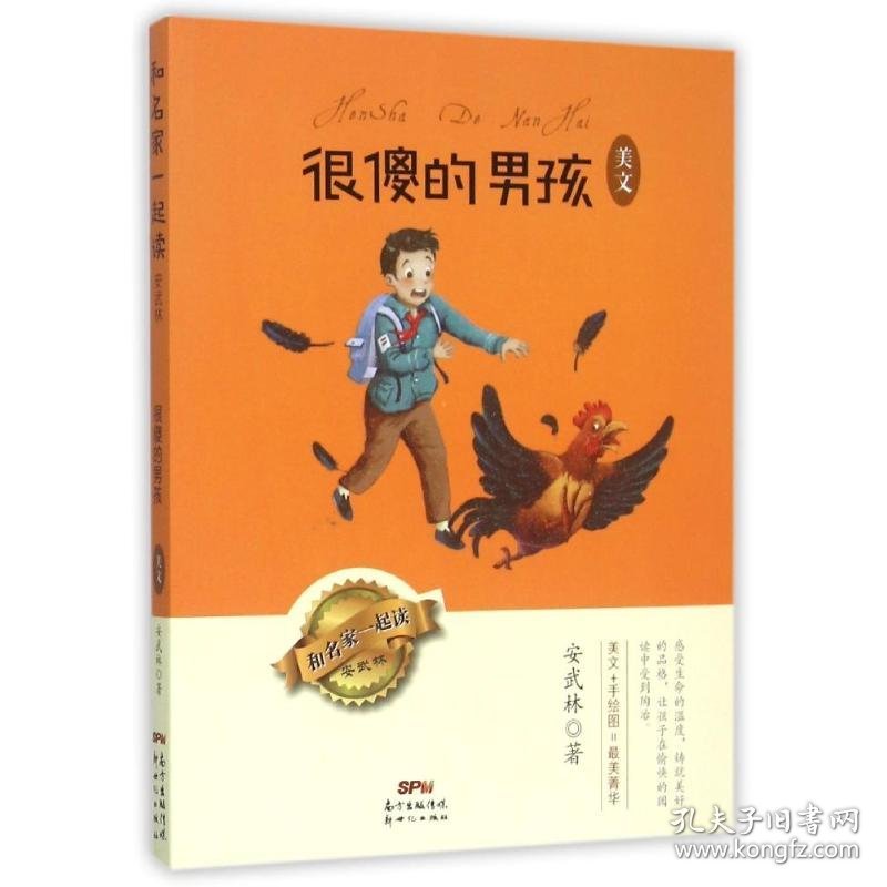 很傻的男孩 美文 9787540596798