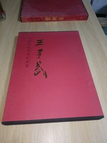 中国近现代名家画集 王子武〖大红袍〗