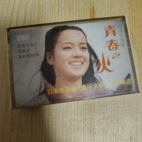 青春之火 轻音乐曲集 磁带