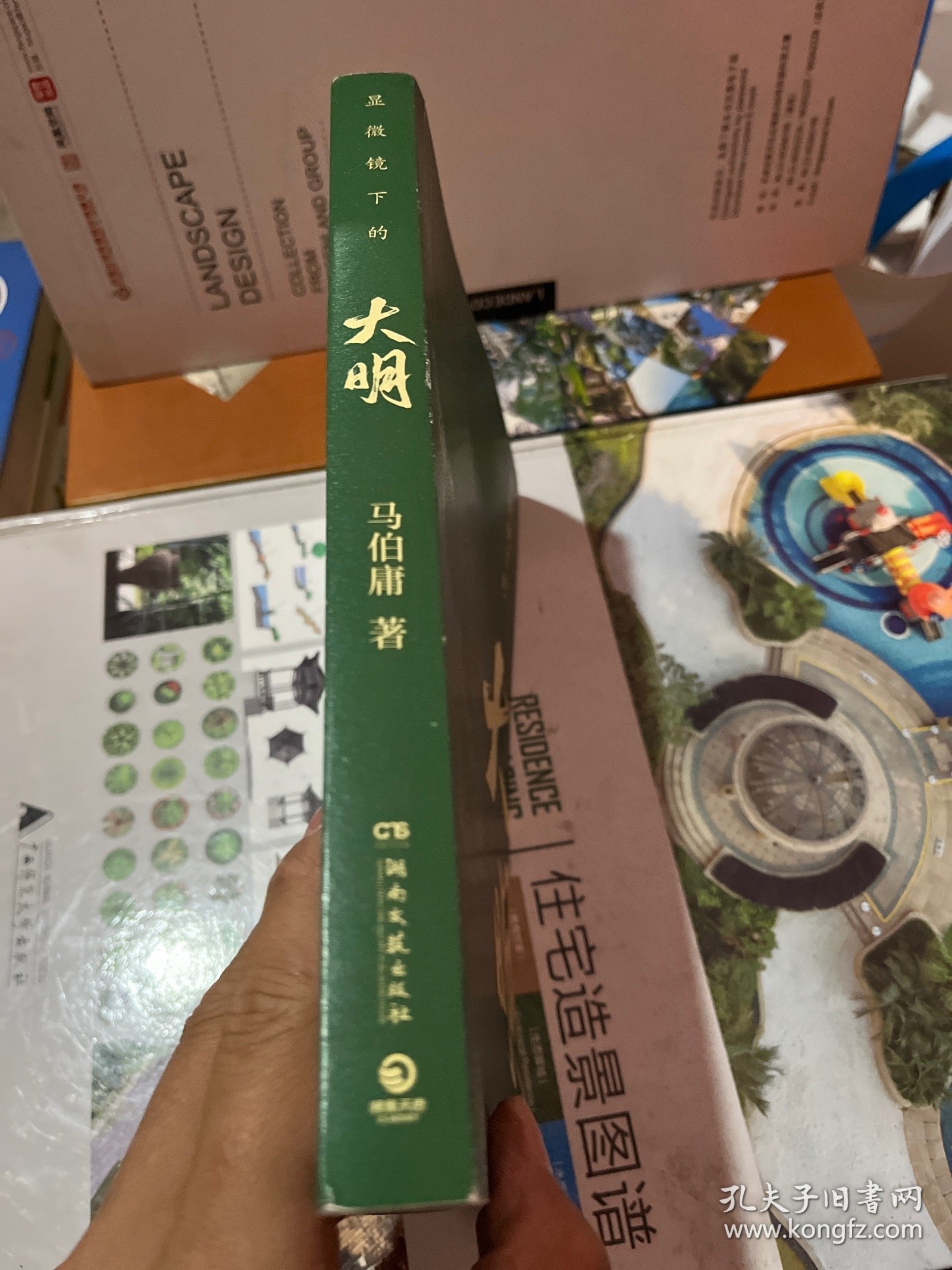 显微镜下的大明（马伯庸全新作品）