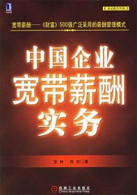 中国企业宽带薪酬实务