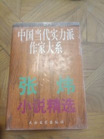 中国当代实力派作家大系：张炜小说精选