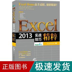 Excel 2013实战技巧精粹