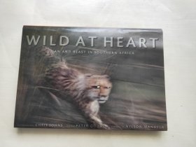 Wild at Heart Man and Beast in Southern Africa