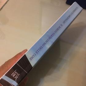 Il bordo vertiginoso delle cose（意大利语原版，《万物令人晕眩的边缘》，意大利当代名家卡罗菲里奥代表作，2019年出版，压膜本，无笔记勾画）