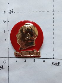 毛主席像章（人民大会堂 背面：热烈欢呼中国共产党第九次全国代表大会胜利召开 抚顺市革命委员会敬制 1969）