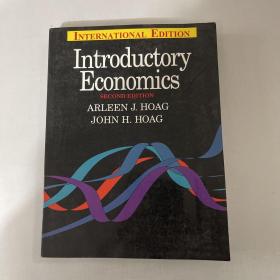 introductory economics