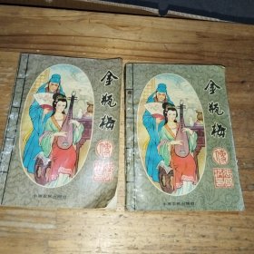 金瓶梅 上下（中原农民出版社）