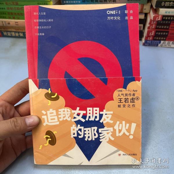 《追我女朋友的那家伙！》（韩寒「一个」工作室监制出品，「一个」App人气作者王若虚最新小说集。）