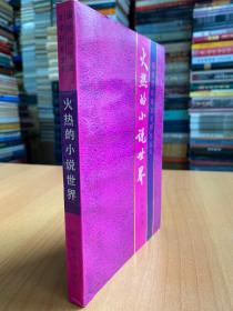 火熱的小說世界（國統(tǒng)區(qū)抗戰(zhàn)文藝研究叢書）