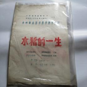 农村职业技术教育教学挂图 水稻的一生（全套）
