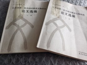 江苏省第一次全国可移动文物普查论文选编上下