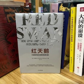 出版社样书·红天鹅：中国独特的治理和制度创新*塑封未拆